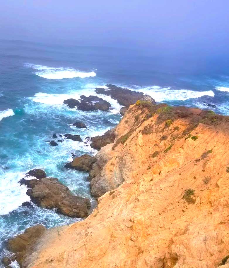 Tomales Point